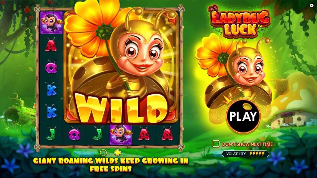 Ladybug Luck slot-splash screen