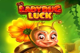 Ladybug Luck