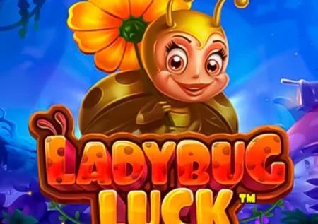 Ladybug Luck