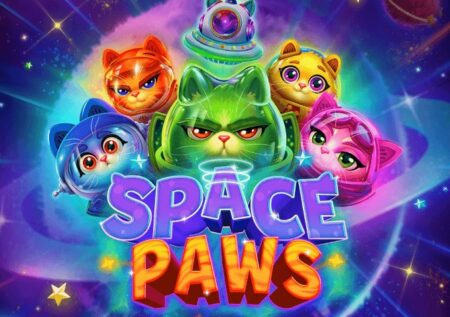 Space Paws