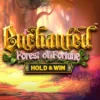 Enchanted: Forest of Fortune