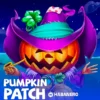 Pumpkin Patch