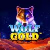 Wolf Gold