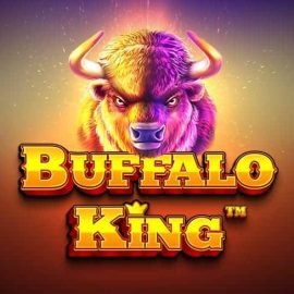 Buffalo King