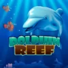 Dolphin Reef