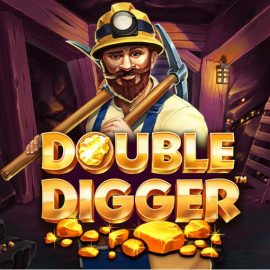 Double Digger