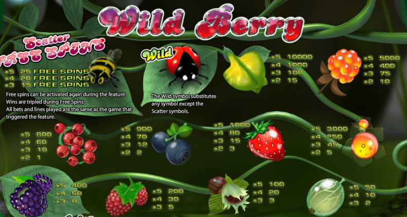 Wild Berry  - pay table