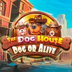 The Dog House - Dog or Alive