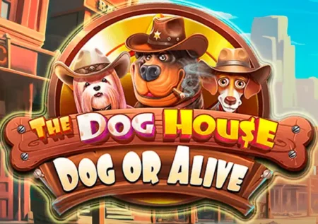 The Dog House – Dog or Alive