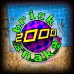 Brick Snake 2000 logo