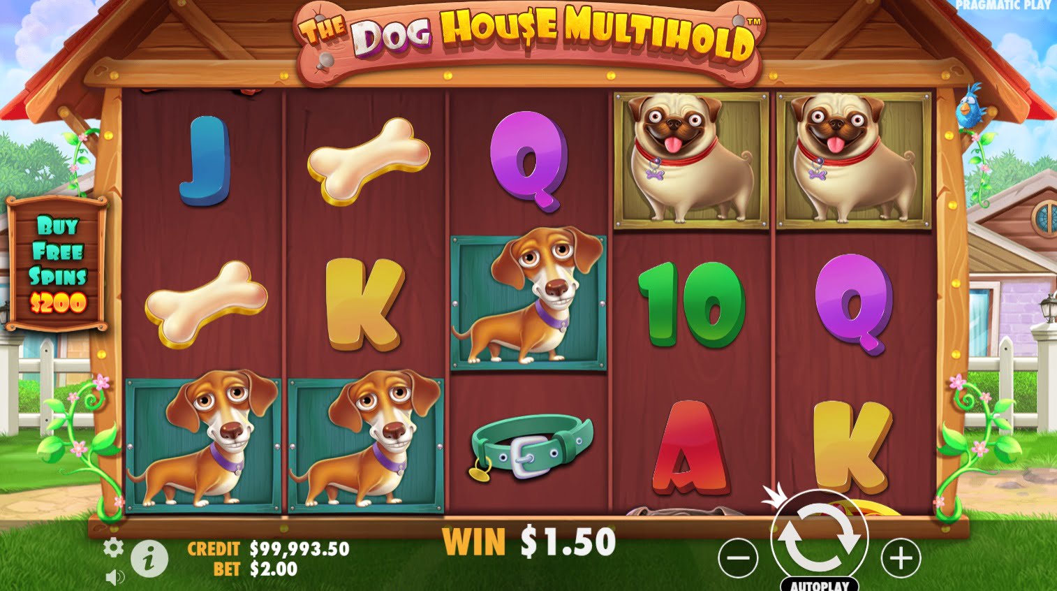 The Dog House Multihold game