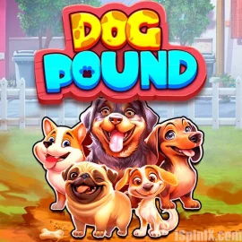 Dog Pound