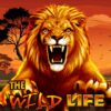 The Wild Life