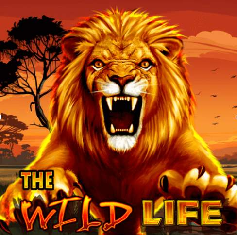 The Wild Life