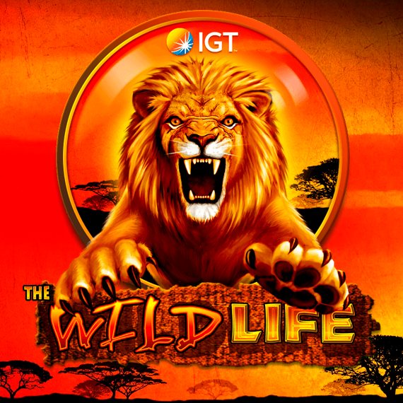 the wild life slot logo