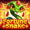 Fortune Snake