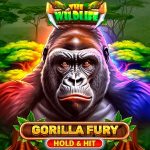 Gorilla Fury Hold and Hit - slot logo