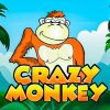 Crazy Monkey