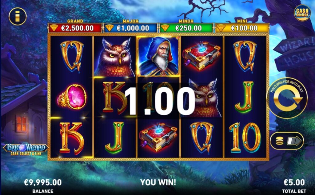 Winning combination in Blue Wizard with the wizard and owl symbols on the 5x3 grid